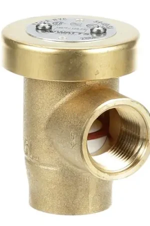Jackson 4820-002-53-77 Vacuum Breaker 3/4-Inch Buy Online