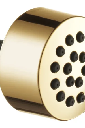 Hassle-Free Returns Brizo SH84103-PG Body Spray HydraChoice Full 1-3/4 Inch Replacement MPN