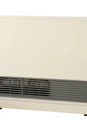 Rinnai EX17DT EX17DTN direct vent wall heater 16,700 BTU Time-Limited